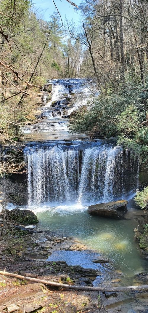 A serene waterfall cascades over rocks, surrounded by lush greenery and trees under a clear blue sky.