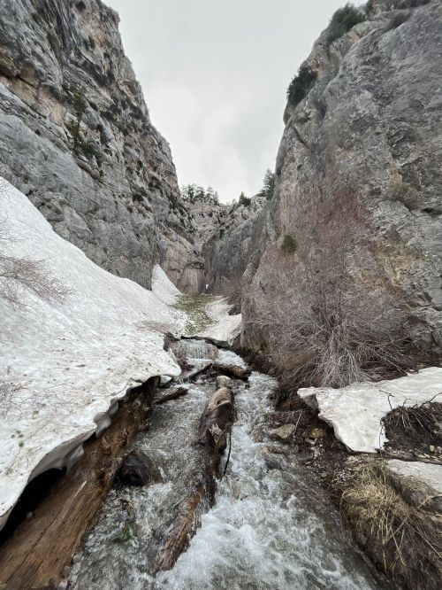 A narrow canyon with snow-covered ground and a flowing stream, surrounded by rocky cliffs and sparse vegetation.