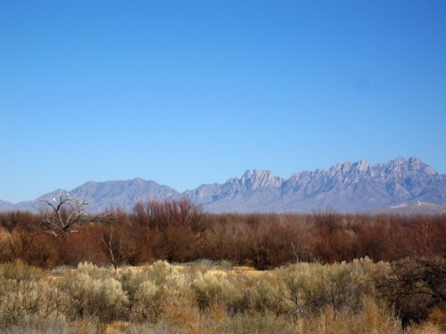 A clear blue sky over a desert landscape with mountains in the background and sparse vegetation in the foreground.