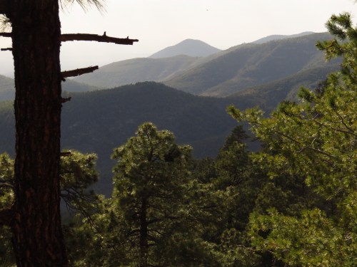 A scenic view of layered mountains and pine trees under a hazy sky.