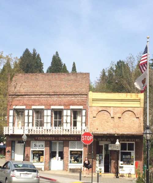 Historic brick buildings with storefronts, a stop sign, and trees in the background, featuring an American flag.