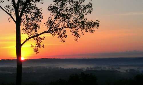 A serene sunset over a misty landscape, framed by a silhouetted tree against vibrant orange and pink skies.