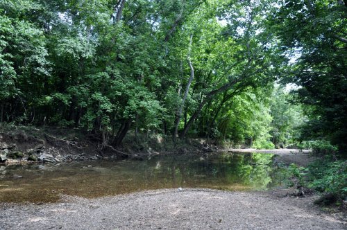 A serene riverbank surrounded by lush green trees and clear water, reflecting a peaceful natural setting.