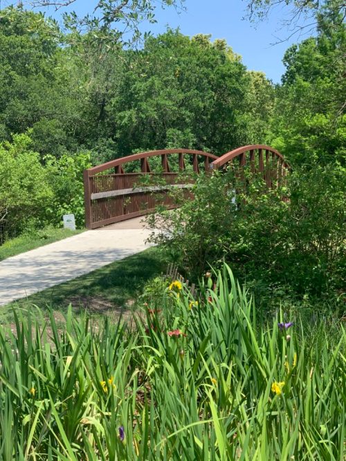 A wooden bridge arches over a path surrounded by lush greenery and colorful flowers in a serene outdoor setting.