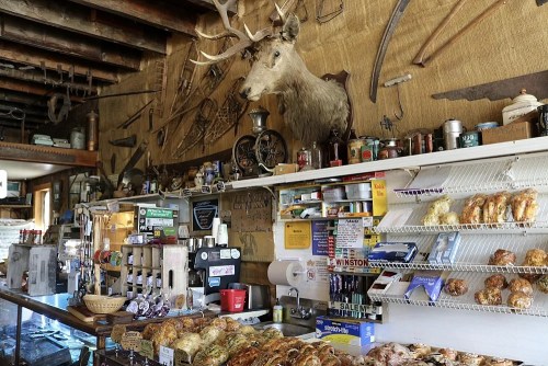 A rustic café interior featuring a mounted deer head, vintage decor, and a display of baked goods on the counter.