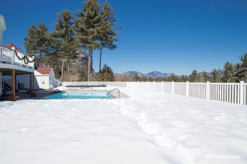 A snowy landscape with a pool surrounded by a white fence and tall trees under a clear blue sky.