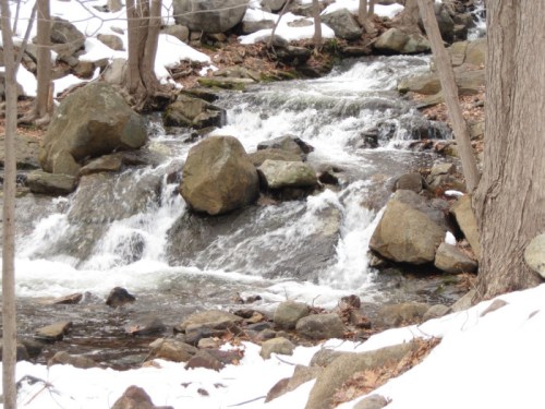 A serene stream flows over rocks in a snowy forest, surrounded by bare trees and scattered leaves.