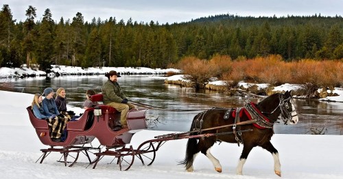 A horse-drawn sleigh carries passengers through a snowy landscape by a river, surrounded by evergreen trees.