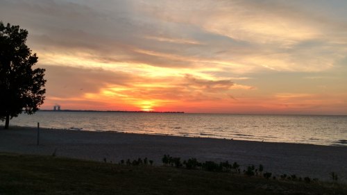 A serene beach scene at sunset, with vibrant orange and pink hues reflecting on the water and silhouetted trees.