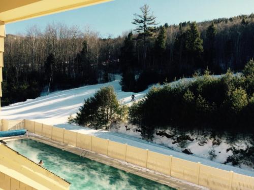 A snowy landscape with a pool in the foreground and a person skiing in the distance among trees.