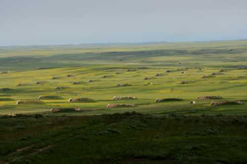 A vast green landscape with rolling hills and scattered hay bales under a cloudy sky.