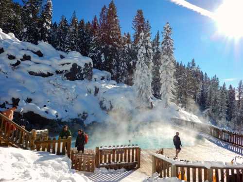 A snowy landscape with a steaming hot spring, surrounded by tall pine trees and people enjoying the warm water.