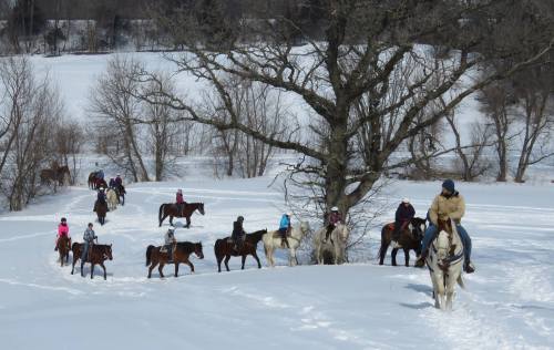 A group of people on horseback riding through a snowy landscape with trees in the background.