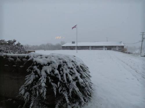 A snowy landscape featuring a flagpole and a building in the background, with snow-covered bushes in the foreground.