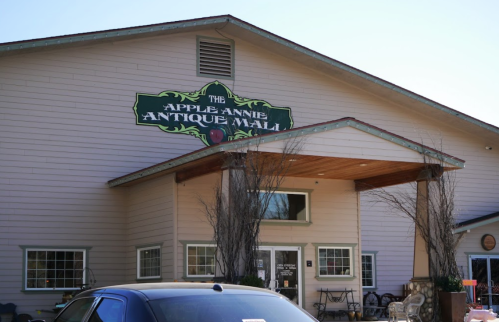 Exterior of the Apple Annie Antique Mall, featuring a large sign and a welcoming entrance with trees and a parked car.