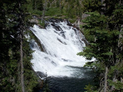 A cascading waterfall surrounded by lush green trees and rocky terrain.