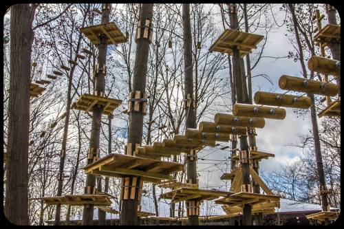 A treetop adventure course with wooden platforms and ladders among bare trees against a cloudy sky.