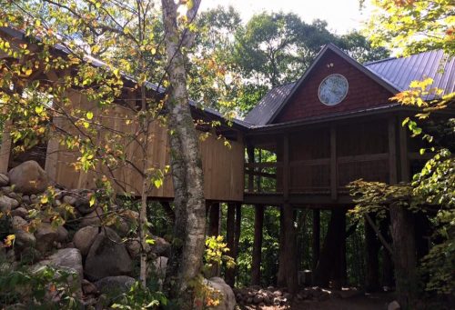 A wooden treehouse nestled among trees, featuring a clock and surrounded by rocks and greenery.