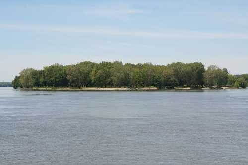 A serene river scene featuring a small island surrounded by calm water and lush green trees under a clear blue sky.