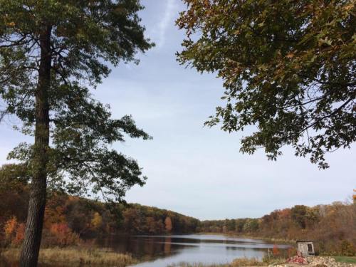 A serene lake surrounded by trees, with autumn foliage reflecting on the water under a cloudy sky.