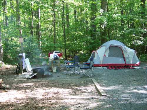 A campsite in a forest with a tent, chairs, a fire pit, and camping gear surrounded by green trees.