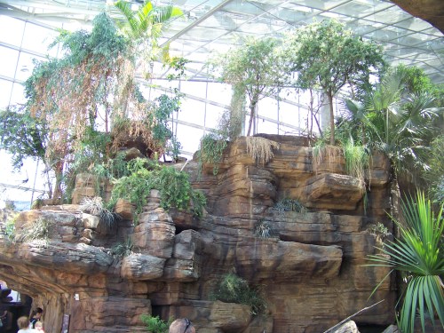 Lush greenery and trees atop rocky formations under a glass ceiling in a tropical indoor garden.