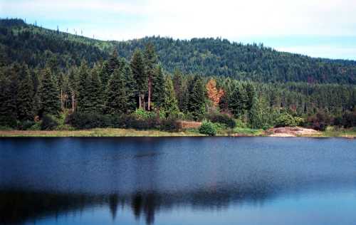 A serene lake surrounded by lush green trees and a distant forested hillside under a clear blue sky.