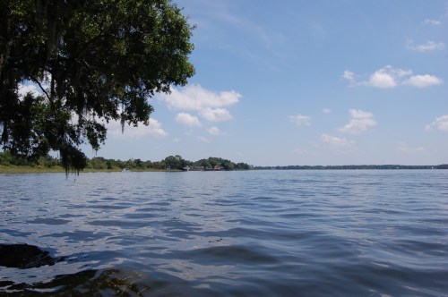 A serene lake scene with calm water, lush greenery, and a clear blue sky dotted with fluffy clouds.