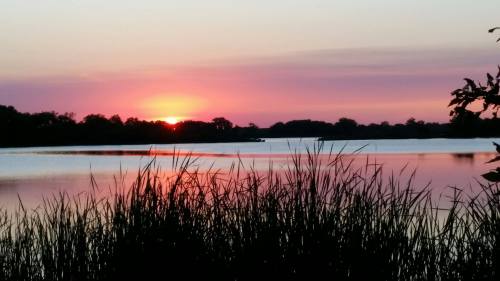 A serene lake at sunset, with vibrant pink and orange hues reflecting on the water and silhouetted grass in the foreground.