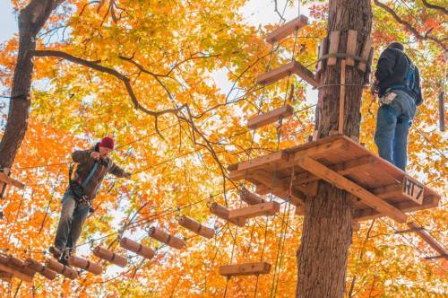 Two people navigate a treetop obstacle course among vibrant autumn leaves.