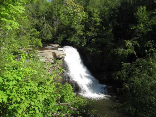 A serene waterfall cascades over rocks, surrounded by lush green trees and foliage in a tranquil natural setting.