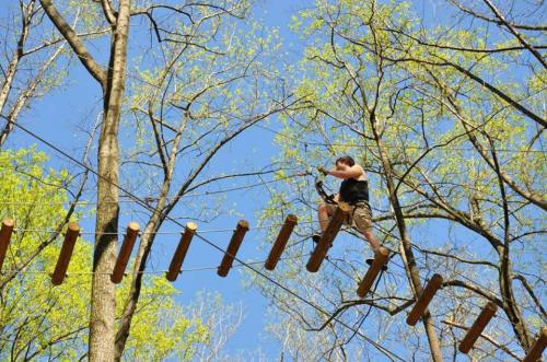 A person navigates a rope bridge high among trees, surrounded by fresh green leaves and a clear blue sky.