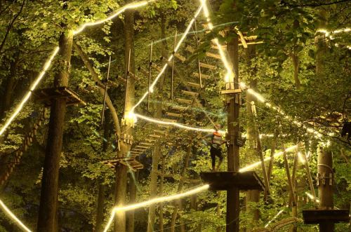 A treetop adventure course illuminated by bright lights, surrounded by lush green trees at night.