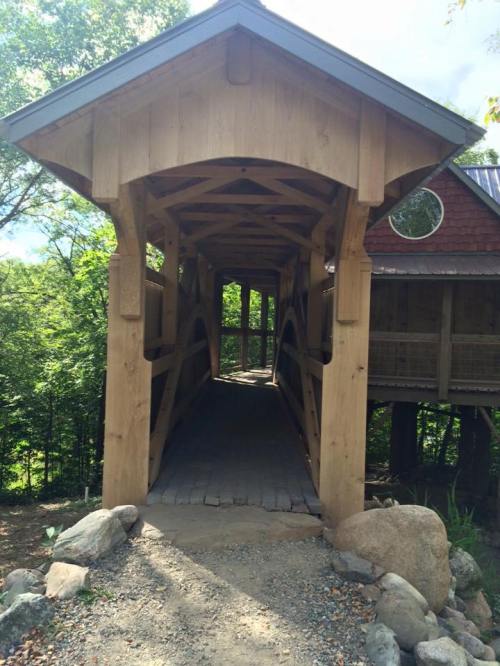 A wooden bridge leads to a cabin, surrounded by greenery and stones, under a bright sky.