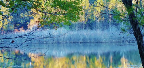 A serene lake surrounded by trees, reflecting vibrant autumn colors in calm water.