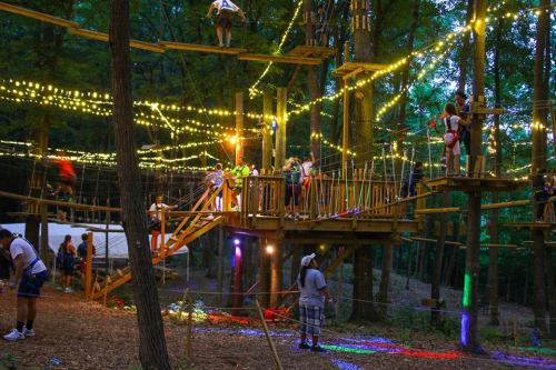 A vibrant treetop adventure park with illuminated walkways and people navigating the course among trees at dusk.