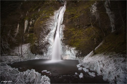 A frozen waterfall cascades into a dark pool, surrounded by icy rocks and frosted trees in a serene winter landscape.