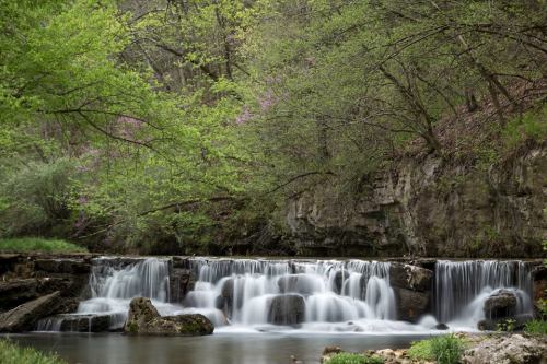 A serene waterfall cascades over rocks, surrounded by lush green trees and blooming flowers in a tranquil forest setting.