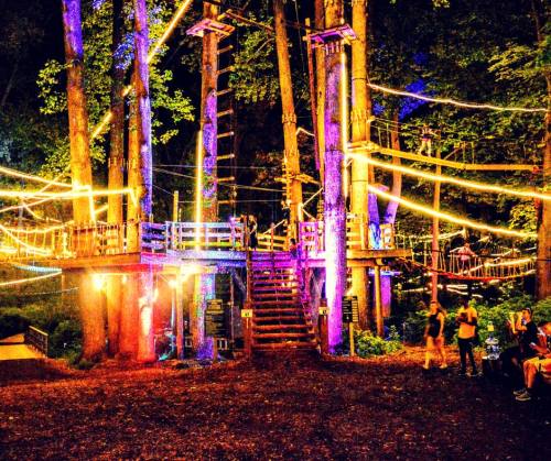 A vibrant tree-top adventure park illuminated with colorful lights at night, surrounded by tall trees.