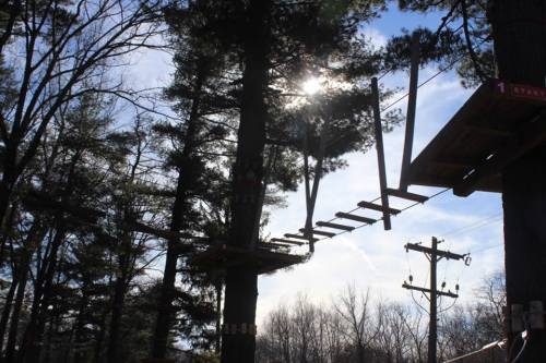 A treetop obstacle course with wooden planks suspended between trees, backlit by the sun in a forested area.