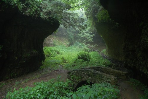 A misty, lush green valley surrounded by steep rock formations and dense foliage.