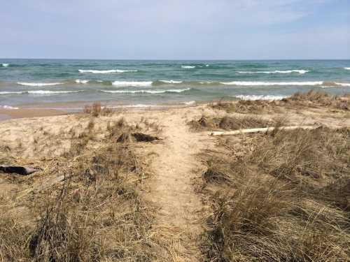 A sandy path leads to a tranquil beach with gentle waves and grassy dunes under a clear sky.