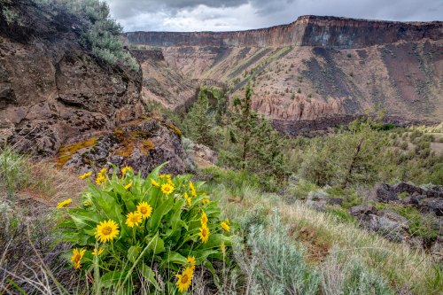 A scenic landscape featuring rocky cliffs, lush greenery, and vibrant yellow flowers in the foreground.