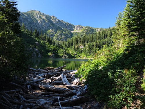 A serene mountain lake surrounded by lush greenery and logs, reflecting the clear blue sky and towering peaks.