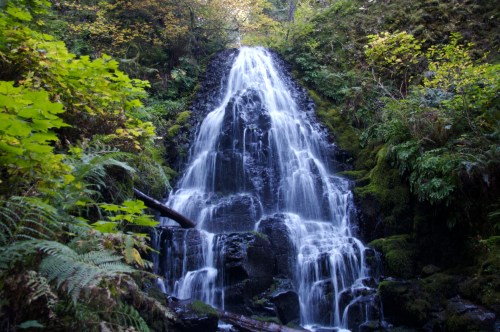 A serene waterfall cascading over rocks, surrounded by lush green foliage and trees in a tranquil forest setting.