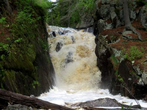 A rushing waterfall cascades between rocky cliffs, surrounded by lush greenery and splashes of brown water.