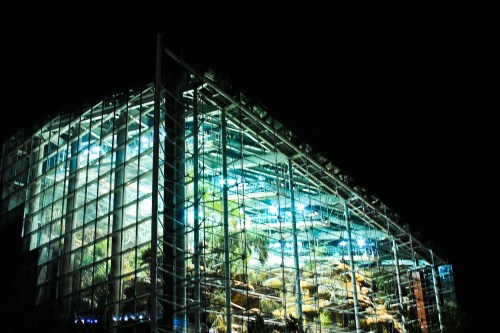 A modern glass building illuminated at night, showcasing lush greenery and rock formations inside.