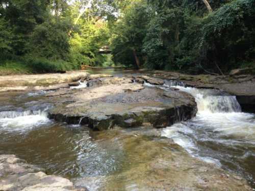 A serene river flows over rocky terrain, surrounded by lush greenery and trees.