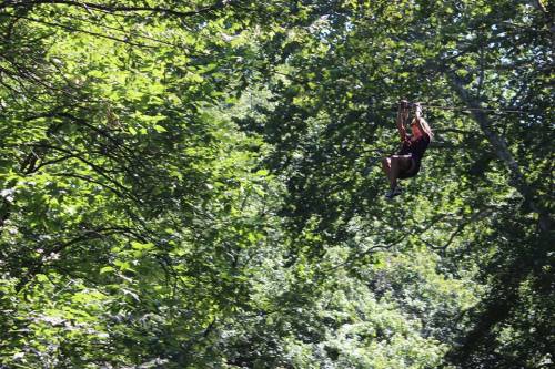 A person zip-lining through a lush green forest, surrounded by dense trees and foliage.