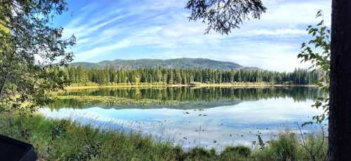 A serene lake surrounded by lush trees and mountains, reflecting the sky and greenery in calm waters.